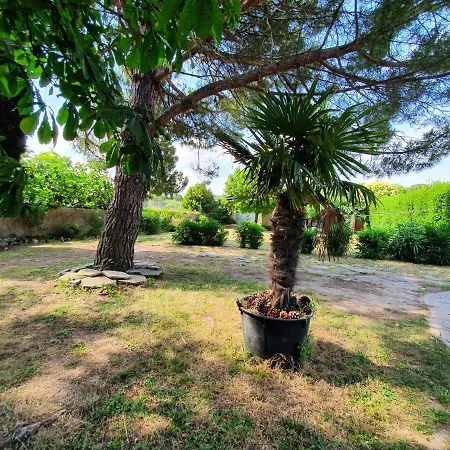 Apartment Les Jardins De La Majore Carcassonne