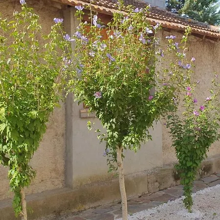 Les Jardins De La Majore * Carcassonne